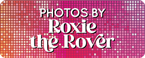 RoxieButton